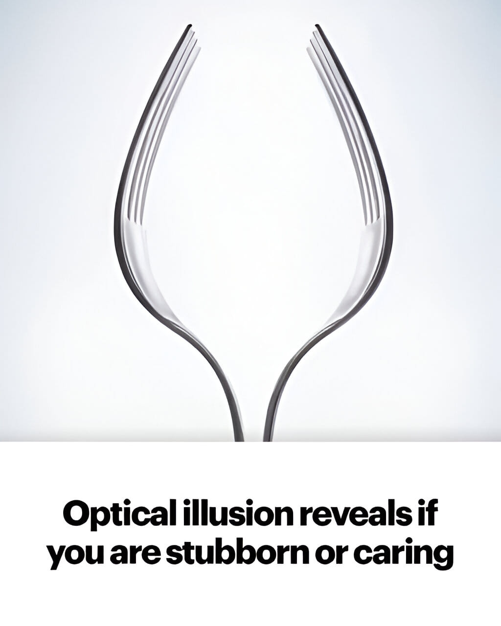 What Do You See First? Optical Illusion Shows if You are ‘Strong-Willed and Stubborn’ or ‘Caring and Likable’