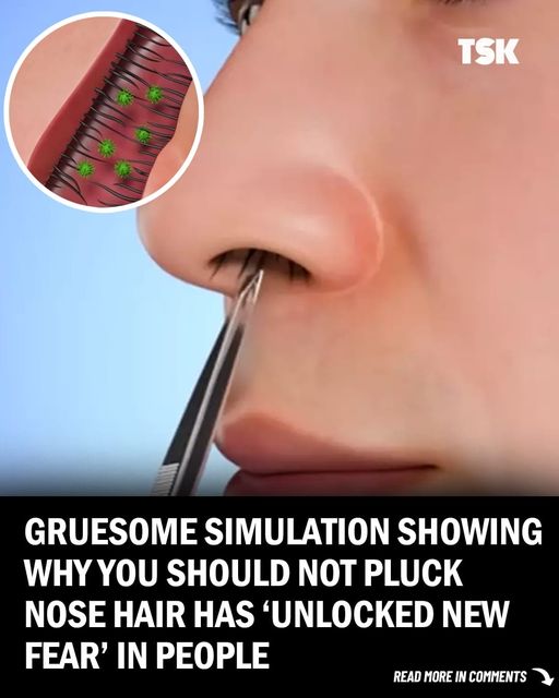 Scary Simulation Reveals Why You Shouldn’t Pluck Your Nose Hairs