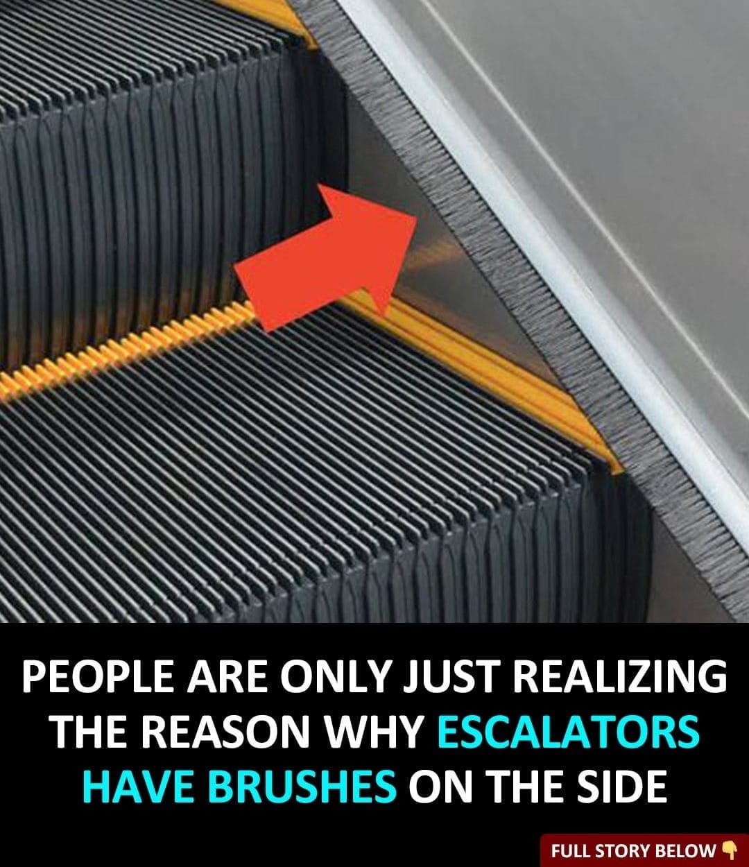 The Scary Reason Behind Escalators Having Brushes On The Side