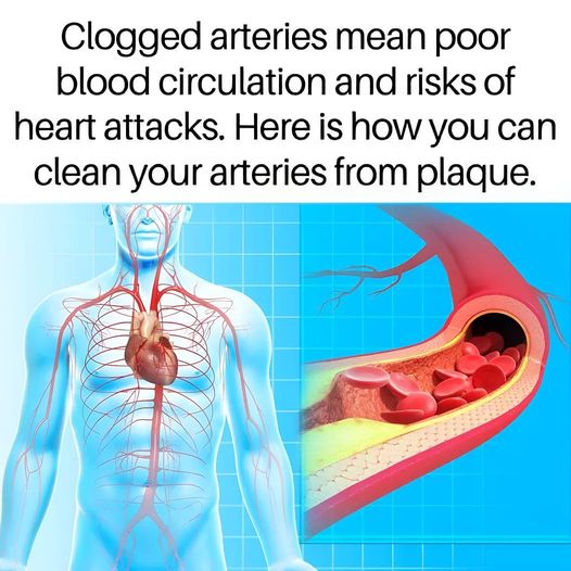 10 Foods That You Should Eat Daily For Clean Arteries